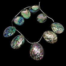 Load image into Gallery viewer, Abalone Shell Briolette 32x27x5 to 45x39x11mm Bead Strand 109909