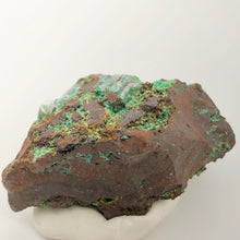 Load image into Gallery viewer, Conicalcite Display Specimen - Green against Dark Matrix 10667B - PremiumBead Alternate Image 2