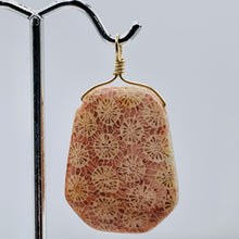 Load image into Gallery viewer, Fossilized Coral 14K Gold Filled Wire Wrap Pendant Pre-Cambrian Era | 1 5/8" |