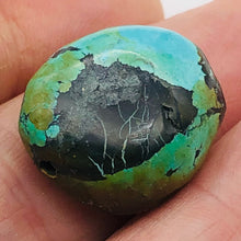 Load image into Gallery viewer, Genuine Natural Turquoise Nugget Focus Master 31cts| 21x18x10mm | Blue Black|1|