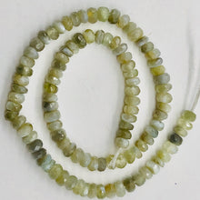 Load image into Gallery viewer, Alexandrite Cats Eye Faceted Half Strand Rondell Beads | 3 mm | Green | 100 Beads |