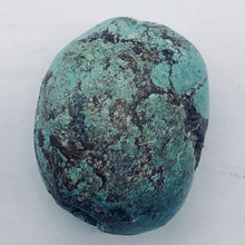 Load image into Gallery viewer, Genuine Natural Turquoise Nugget Focus or MasterBead|49cts|26x21x16| Blue Brown|