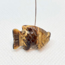 Load image into Gallery viewer, Swimmin' Carved Tigers Eye Fish Koi Carp Figurine | 23x11x8mm | Gold