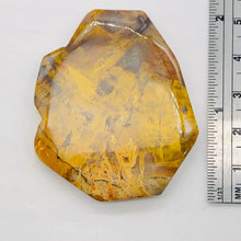 Load image into Gallery viewer, Fossilized Wood Irregular Flat Briolette | 52x43x7mm| Tan/Brown | 1 Pendant Bead