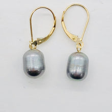 Load image into Gallery viewer, South Sea Pearl Drop 14K Gold Earrings | 1" Long | Silver/Black | 1 Pair |