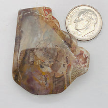 Load image into Gallery viewer, Fossilized Wood Irregular Flat Briolette | 41x36x7mm | Brown/White | 1 Pendant Bead