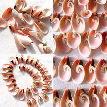 Load image into Gallery viewer, Natural Shell Divine Spiral Focal Bead Strand - PremiumBead Alternate Image 3