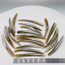Load image into Gallery viewer, 20 Bronze Mussel Shell Double Drill Plank Beads 008096