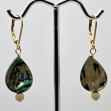 Load image into Gallery viewer, Abalone 14K Gold Filled Drop Earrings | 1 1/2" Long | Pink Blue |