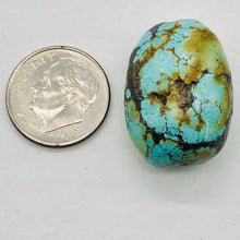 Load image into Gallery viewer, Natural Turquoise Nugget Focus Master 39cts Bead | 24x18x14 | Blue Brown | 1 |