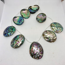 Load image into Gallery viewer, Designer! (1) Natural Abalone Shell 32x27x5 to 45x39x11mm Briolette Bead 009909 - PremiumBead Alternate Image 6
