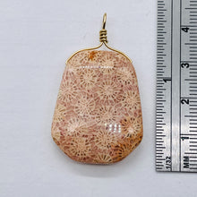 Load image into Gallery viewer, Fossilized Coral 14K Gold Filled Wire Wrap Pendant Pre-Cambrian Era | 1 5/8" |