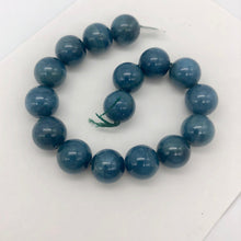 Load image into Gallery viewer, Rare Vivid Blue Cat's Eye Apatite Round Gemstone Half Strand | 12mm | 16 Beads |