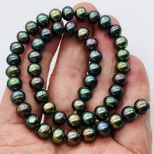 Load image into Gallery viewer, Fresh Water Pearl Strand Round | 9 mm | Blue/Bronze | 50 Beads |