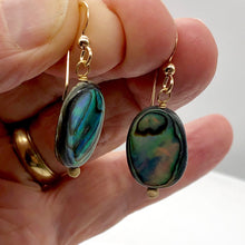 Load image into Gallery viewer, Abalone 14K Gold Filled Drop Earrings | 1 1/4" Long | Blue | 1 Pair Earrings |