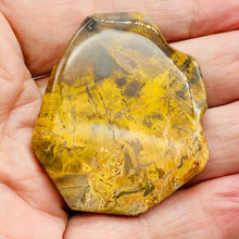 Load image into Gallery viewer, Fossilized Wood Irregular Flat Briolette | 52x43x7mm| Tan/Brown | 1 Pendant Bead