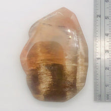 Load image into Gallery viewer, Fossilized Wood Irregular Flat Briolette| 47x40x7mm|Orange/Black| 1 Pendant Bead