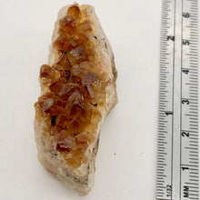 Load image into Gallery viewer, Natural Rootbeer Citrine Display Specimen Glorious | 17x50x30mm |