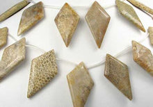 Load image into Gallery viewer, Pre-Cambrian Era Fossilized Coral Briolette Bead Strand 109171 - PremiumBead Primary Image 1