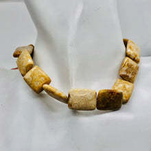 Load image into Gallery viewer, Coral Fossilized Strand Rectangular | 20x15x6 mm | Brown/White | 20 Beads |