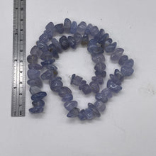 Load image into Gallery viewer, Oregon Holly Blue Chalcedony Agate 66g Nuggets | 13X10X7 15X8X8 | Blue | 64 Bead