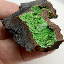 Load image into Gallery viewer, Conichalcite Natural Crystal Display Specimen for Collectors | 2.75x1.75x0.63" |