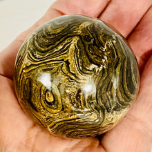 Load image into Gallery viewer, Stromatolite Scry Crystal Round Meditation Sphere | 50mm | Bronze/Black | 1 |