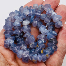 Load image into Gallery viewer, Oregon Holly Blue Chalcedony Agate 71 Grams Nugget| 10X9X5 15X9X8 |Blue|69 Bead|