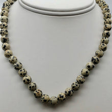 Load image into Gallery viewer, Spots Dalmatian Jasper 8mm Round Bead Strand 109420 - PremiumBead Alternate Image 4