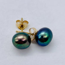 Load image into Gallery viewer, South Sea Black Pearl 14K Stud Earrings | 1/4 inch | Gold | 1 Pair |