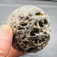 Load image into Gallery viewer, Sphalerite Jasper Meditation Scry Sphere Round | 2 1/2" |Brown/White| 1 Sphere |