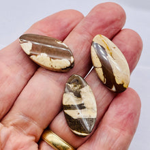 Load image into Gallery viewer, 3 Exotic Zebra Jasper Twist Oval Focal Beads 8906