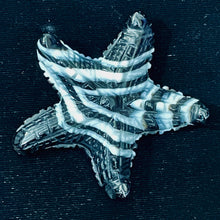 Load image into Gallery viewer, Stunning! Carved Sardonyx Starfish Pendant Bead | 60x9mm | Black/White | | 60x9mm | Black/White