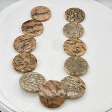 Load image into Gallery viewer, Feldspar Coin Bead Strand | 35x6mm | 11 Beads | Tan Black Red |
