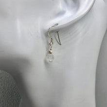 Load image into Gallery viewer, Crystal Carved Lotus Sterling Silver Drop Earrings| 1" Long | Clear | 1 Earrings