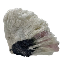 Load image into Gallery viewer, Watermelon Tourmaline Crystal |45x54x44mm|Purple Black White| 1 Display Specimen