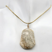 Load image into Gallery viewer, Fossilized Coral Sterling Silver Wire Wrap Pendant Pre-Cambrian Era | 2 5/8" |