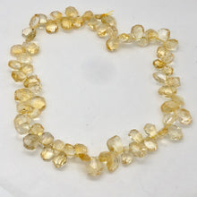 Load image into Gallery viewer, Citrine Faceted Briolette Bead Strand | 13x11 to 11x8x5mm | Golden | 55g |