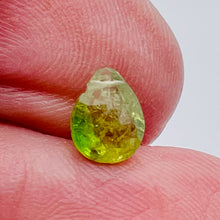 Load image into Gallery viewer, Garnet Grossular Flat Faceted Briolette Pendant Bead | 8x6x4mm(1.4ct) |Green| 1