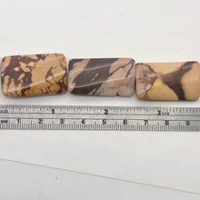 Load image into Gallery viewer, 3 (Three) Beads of Zebra Jasper Carved Twist Rectangle Focal Beads 8903