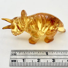 Load image into Gallery viewer, Amber Triceratops | 47x24x14 | Amber | 1 Figurine