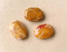 Load image into Gallery viewer, Exotic 3 Fossilized Coral Cameo Cut Pendant Beads 7384B - PremiumBead Primary Image 1
