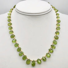 Load image into Gallery viewer, Natural Green Peridot Briolette and 14k GF 17 inch Necklace 203347 - PremiumBead Primary Image 1
