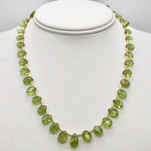 Load image into Gallery viewer, Natural Green Peridot Briolette and 14k GF 17 inch Necklace 203347 - PremiumBead Primary Image 1