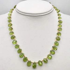 Natural Green Peridot Briolette and 14k GF 17 inch Necklace 203347 - PremiumBead Primary Image 1