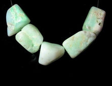 Load image into Gallery viewer, 365cts 5 Designer Natural Chrysoprase (New Zealand Jade) Beads 008491I - PremiumBead Alternate Image 3