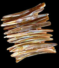 Load image into Gallery viewer, Sizzling Hot! Bronze Mussel Shell Plank Bracelet 006974
