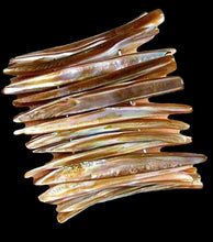 Load image into Gallery viewer, Sizzling Hot! Bronze Mussel Shell Plank Bracelet 006974