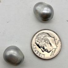Load image into Gallery viewer, 2 Hot 12-13mm Platinum Freshwater Pearls for Jewelry Making - PremiumBead Alternate Image 6