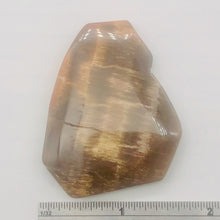 Load image into Gallery viewer, Cracked Fossilized Wood Flat Briolette | 48x40x7mm| Tan/Black| 1 Pendant Bead|